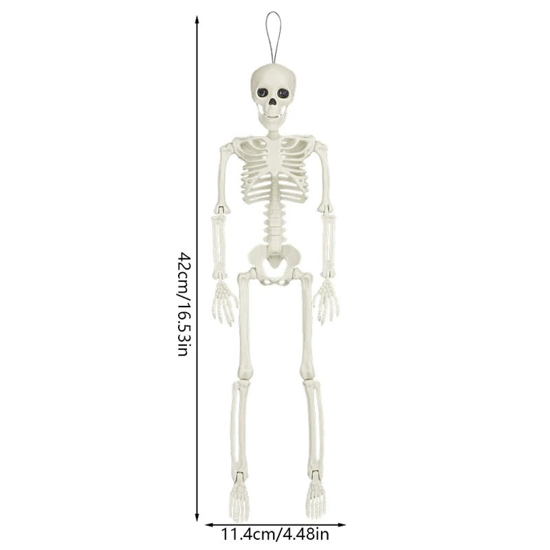 Medidas del esqueleto articulado de 42 cm